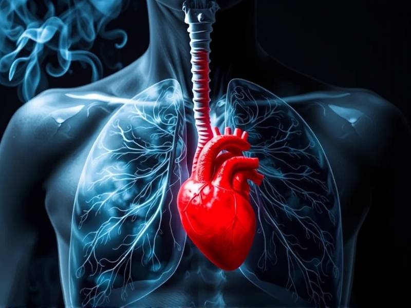 Do Your Lungs and Heart Heal If You Quit Smoking?