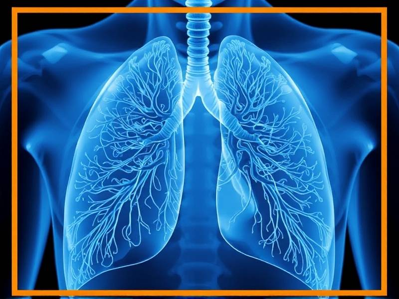 Can You Really Clean Your Lungs After Quitting Smoking?