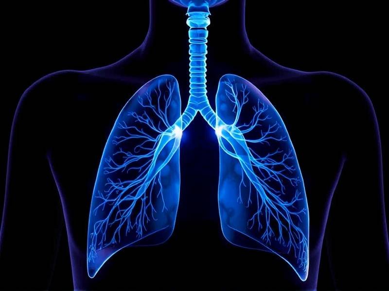 When Do Your Lungs Start to Heal After Quitting Smoking?
