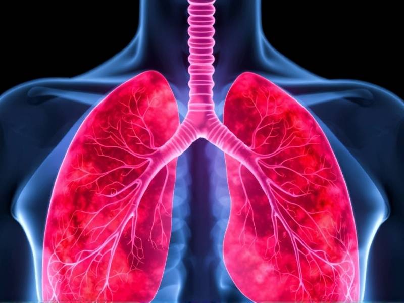 What Do Lungs Look Like 5 Years After Quitting Smoking?