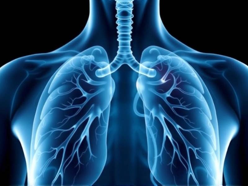 Can You Really Restore Lung Function After Quitting Smoking?(1)