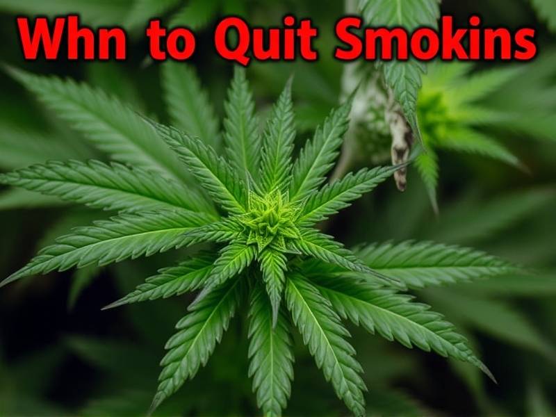 When to Quit Smoking Pot: A Guide for Beginners