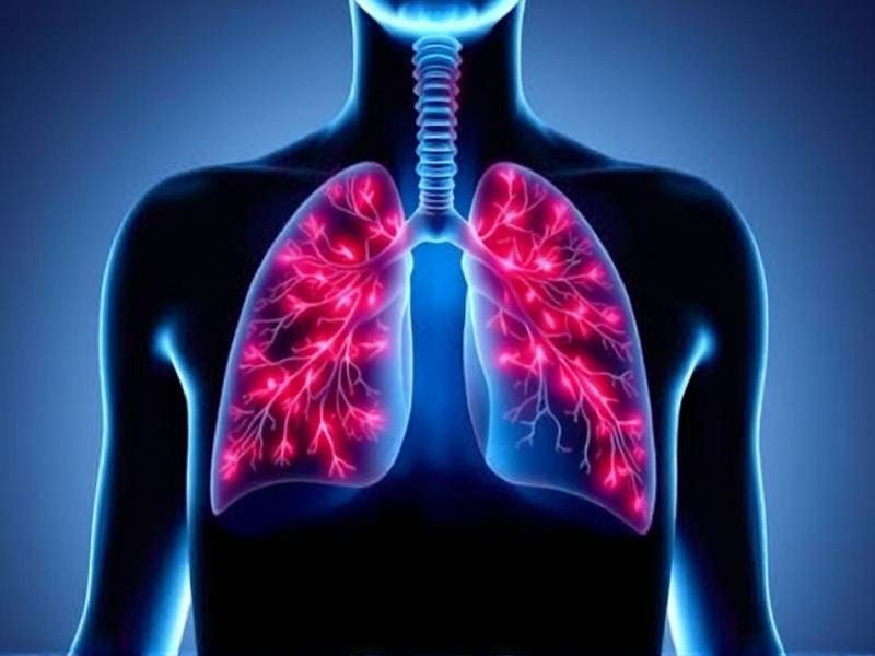 How to Naturally Detox Your Lungs After Quitting Smoking: Effective Tips and Methods