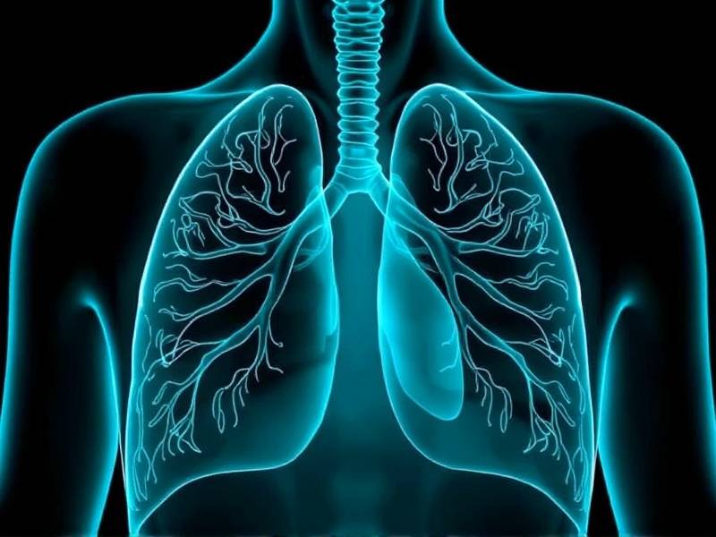How Long Does It Take to Recover Lung Function After Quitting Smoking?