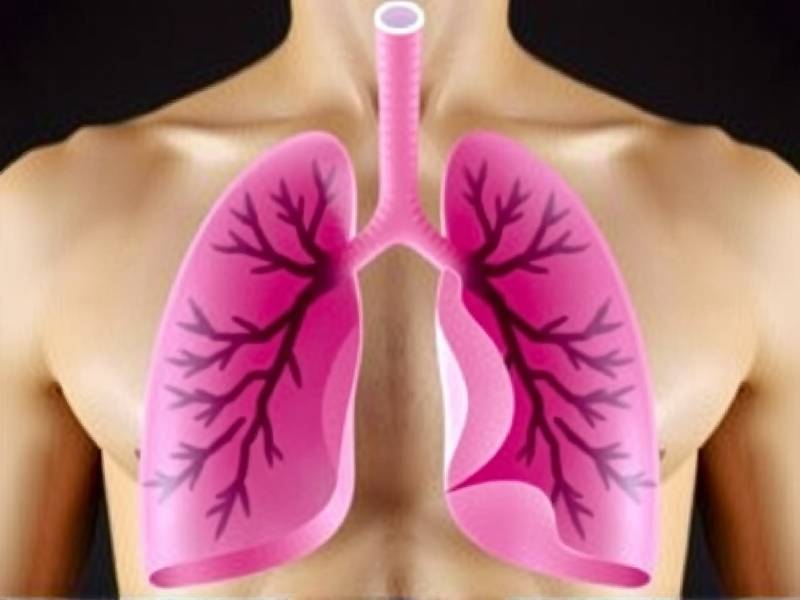 How to Clean Your Lungs Naturally After Quitting Smoking