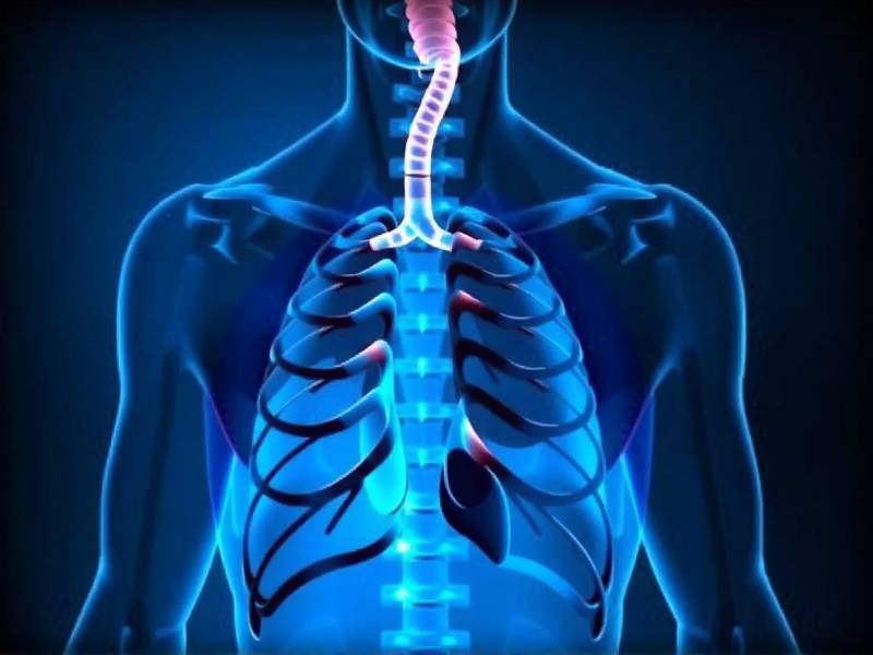 How to Naturally Clean Your Lungs After Quitting Smoking: Effective Tips and Exercises