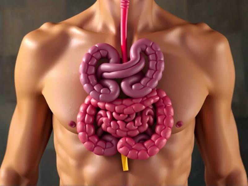 Does Quitting Smoking Improve Digestion? The Science Behind the Question
