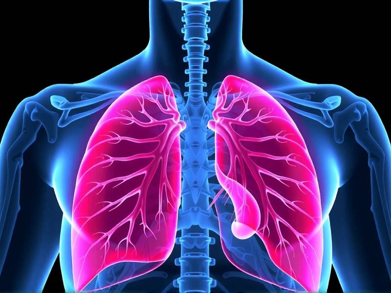 How to Improve Lung Health Quickly After Quitting Smoking