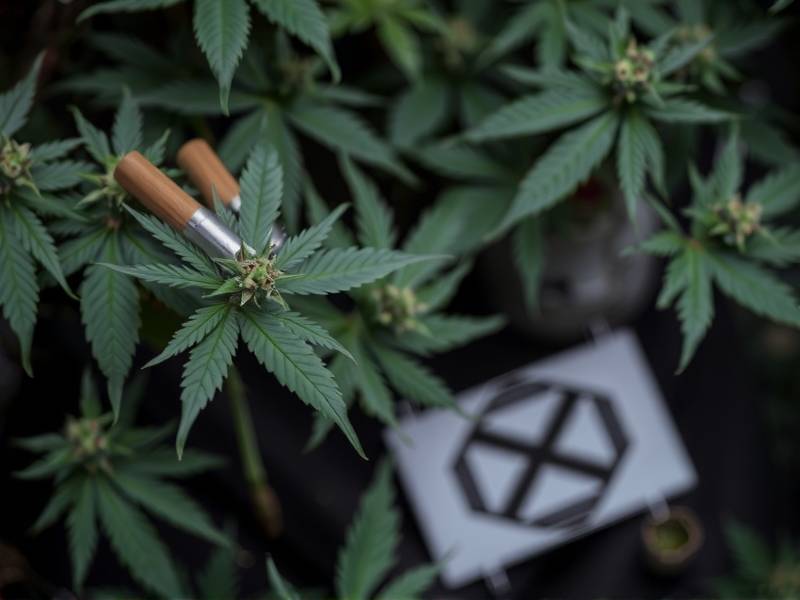 Why Do People Quit Smoking Marijuana?