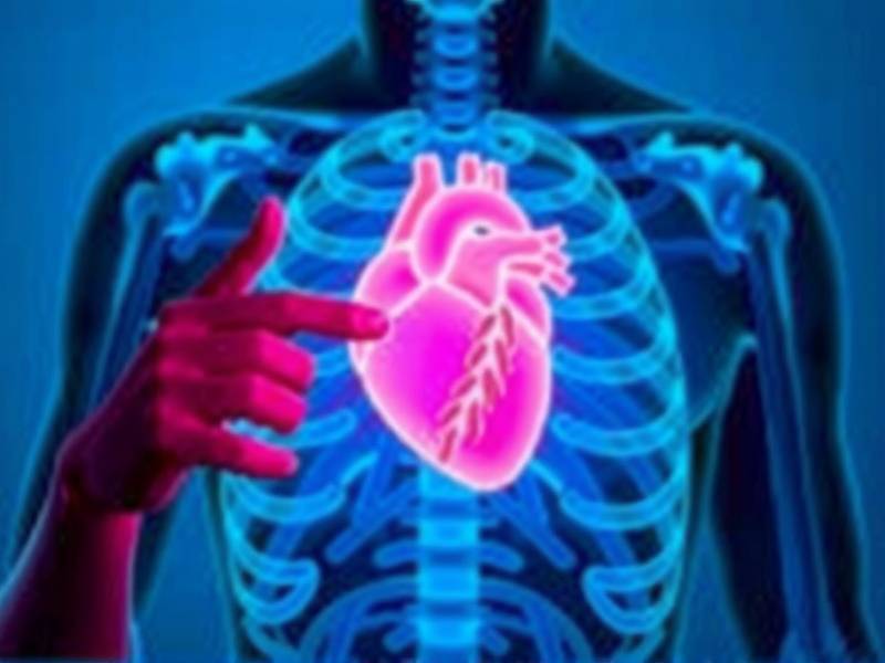 Does Your Heart Really Repair Itself After Quitting Smoking?