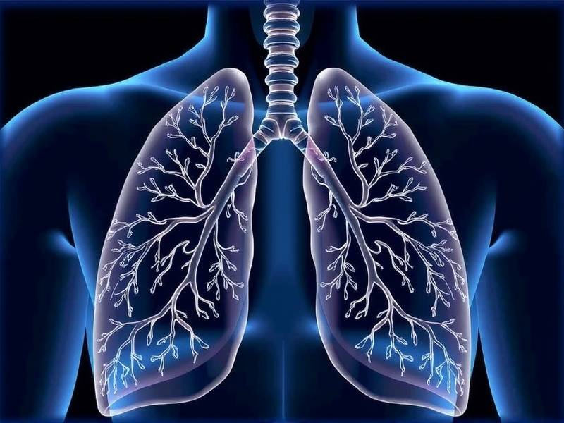 Do Lungs Heal After Quitting Smoking?