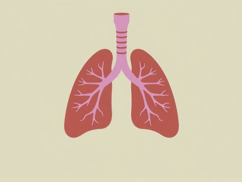 How to Take Good Care of Your Lungs After You Quit Smoking