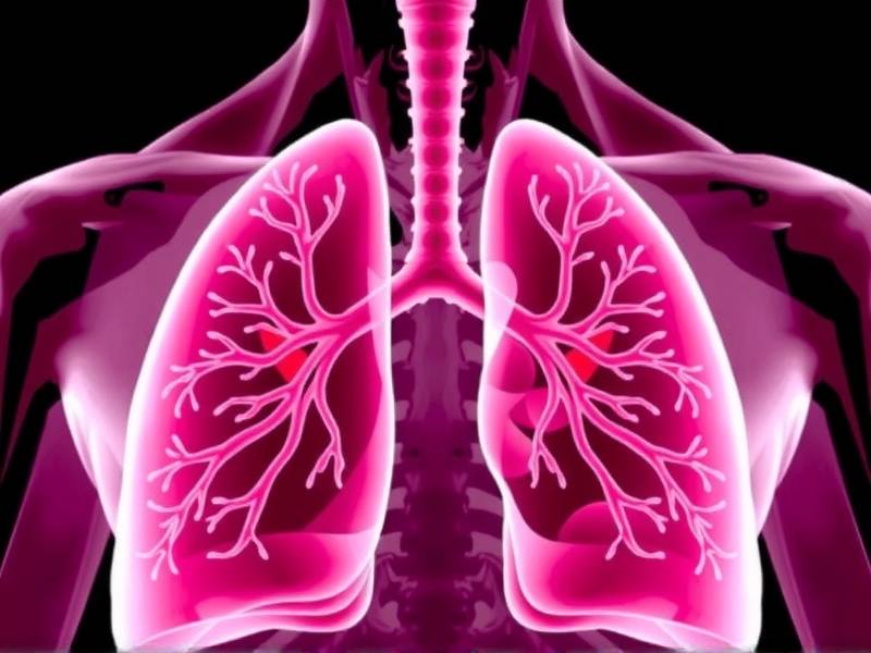 Do Lungs Really Go Back to Their Original Color (Pink) After Quitting Smoking?
