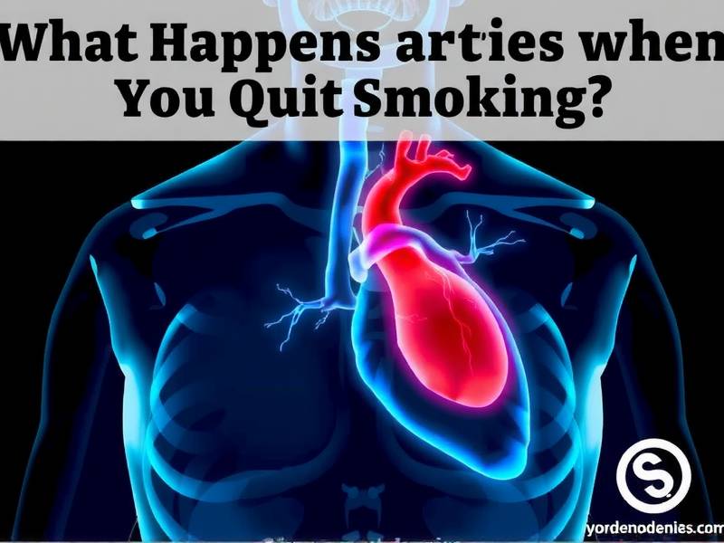 What Happens to Arteries When You Quit Smoking?(1)