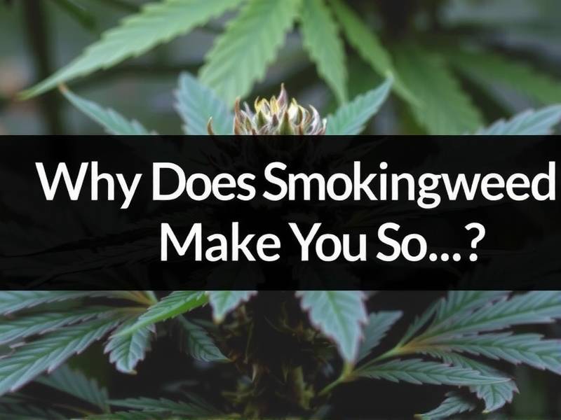 Why Does Smoking Weed Make You So...?
