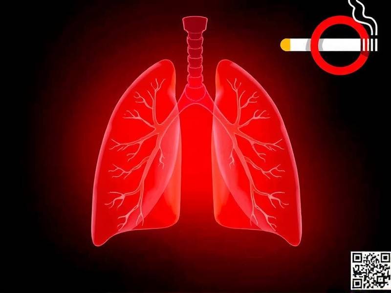 Can Lungs Really Heal If You Quit Smoking?