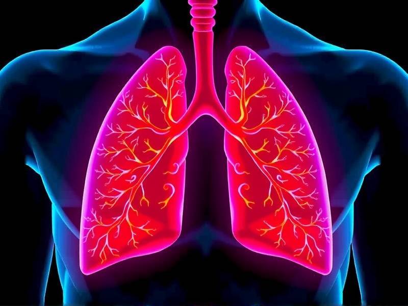 How Long Does It Take for Lung Repair After Quitting Smoking?