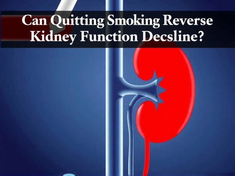 Can Quitting Smoking Reverse Kidney Function Decline?