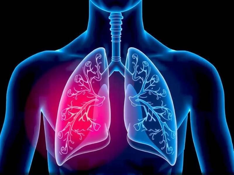 How Fast Do Lungs Repair After Quitting Smoking?