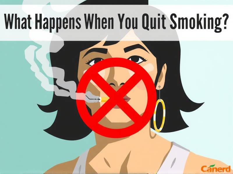 What Happens When You Quit Smoking: A Video Guide(1)