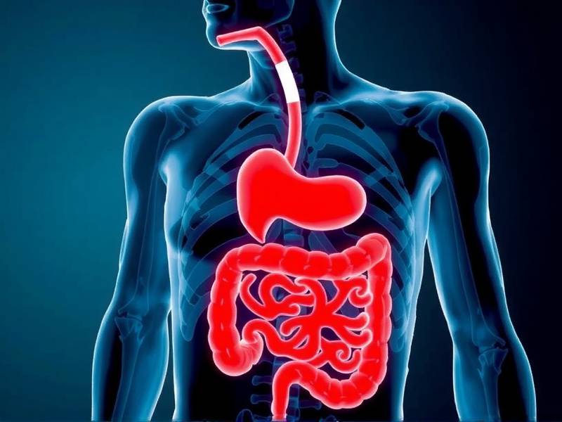 Does Quitting Smoking Really Cause Intestinal Problems? A Comprehensive Look at the Evidence