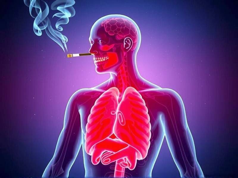 How Does Your Body Heal When You Quit Smoking?